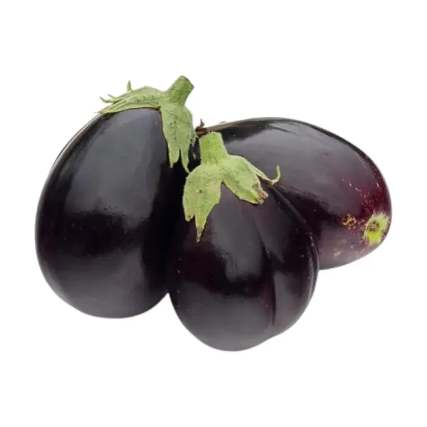 Aubergine