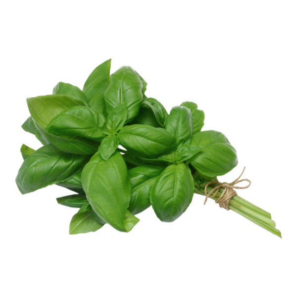 Basil