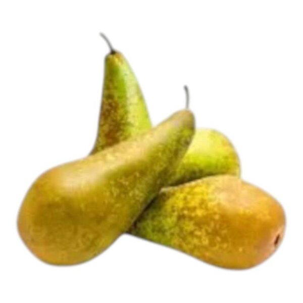 Conference Pears