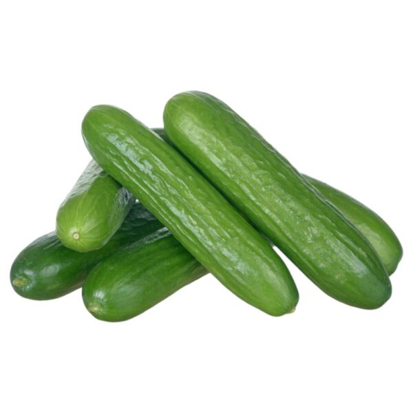 Mini Cucumber
