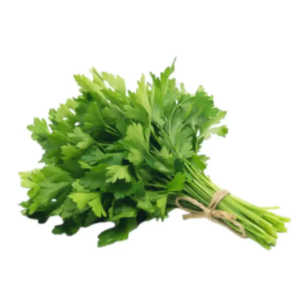 Flat Parsley