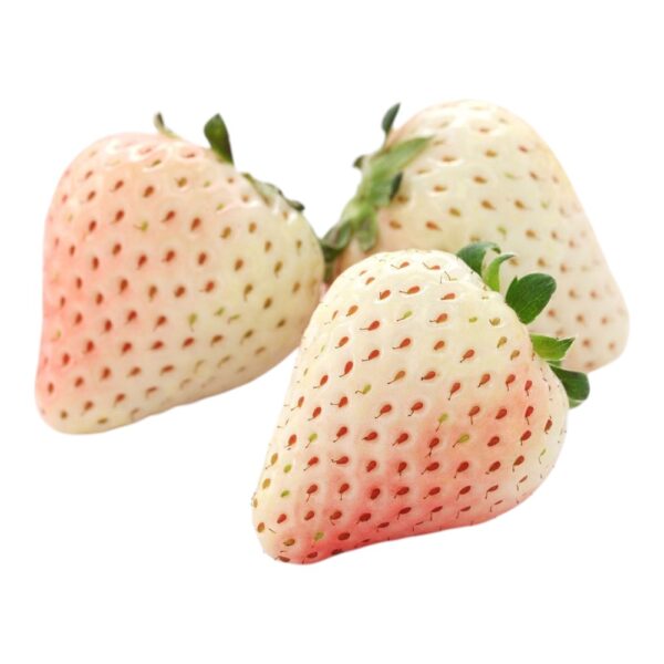 White Strawberry