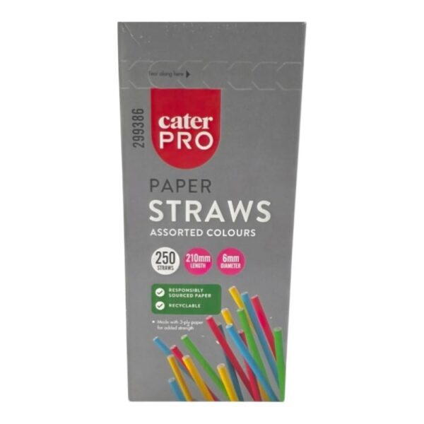 CaterPro 250 Paper Straw Assorted Colours