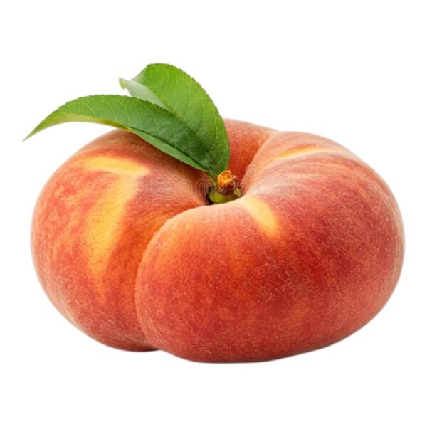 Flat Peach Stems