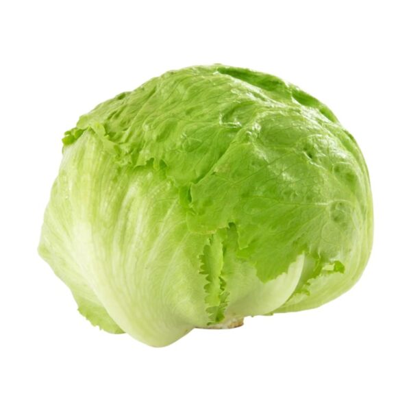 Iceberg Lettuce