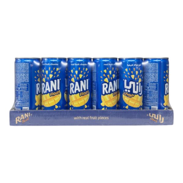 Rani Mango 240Ml (24pack)