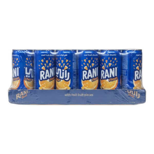 Rani Orange 240Ml (24pack)