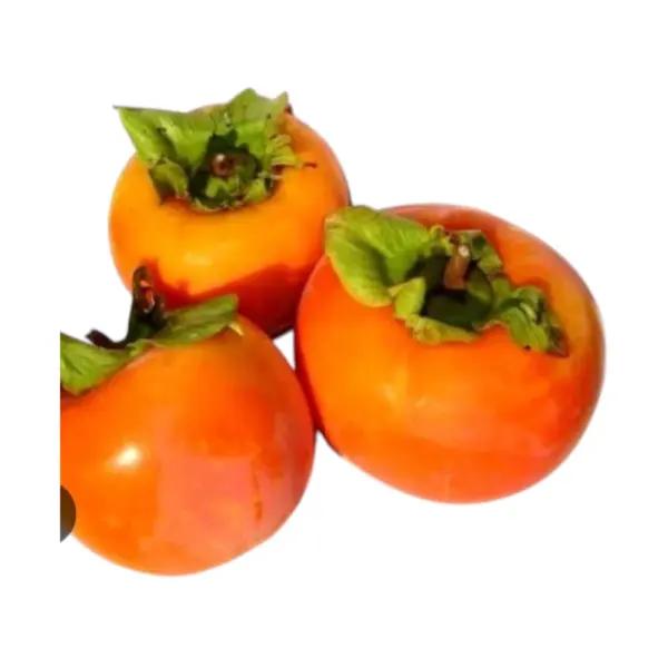 Persimmon (Each)