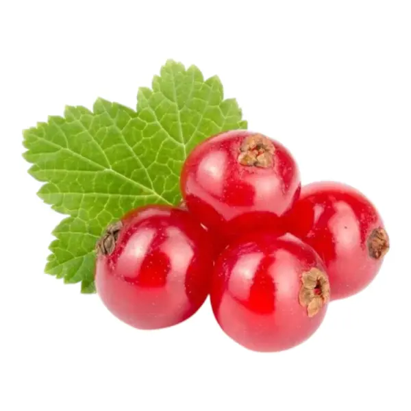 Redcurrant 125g