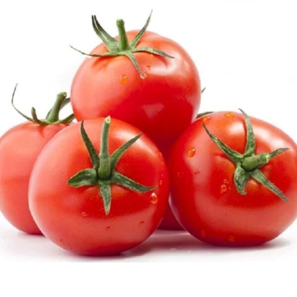 Tomatoes (Each)
