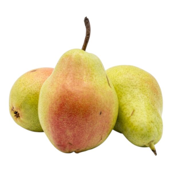 Turkish Pear
