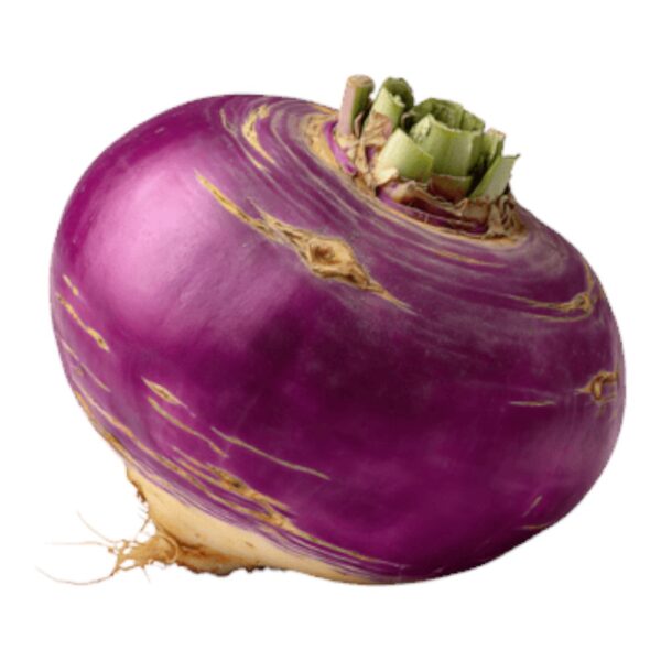 Turnip