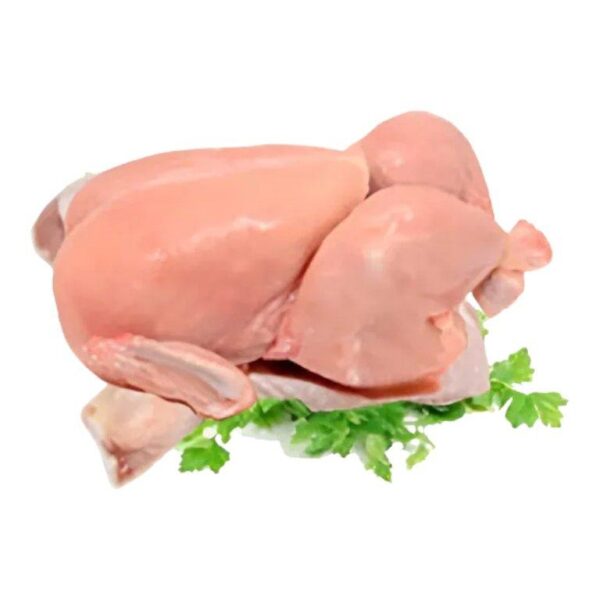 Baby Chicken (Each)